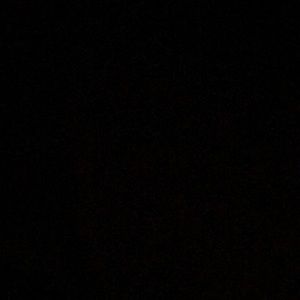 Meet your Posher, Lonnie